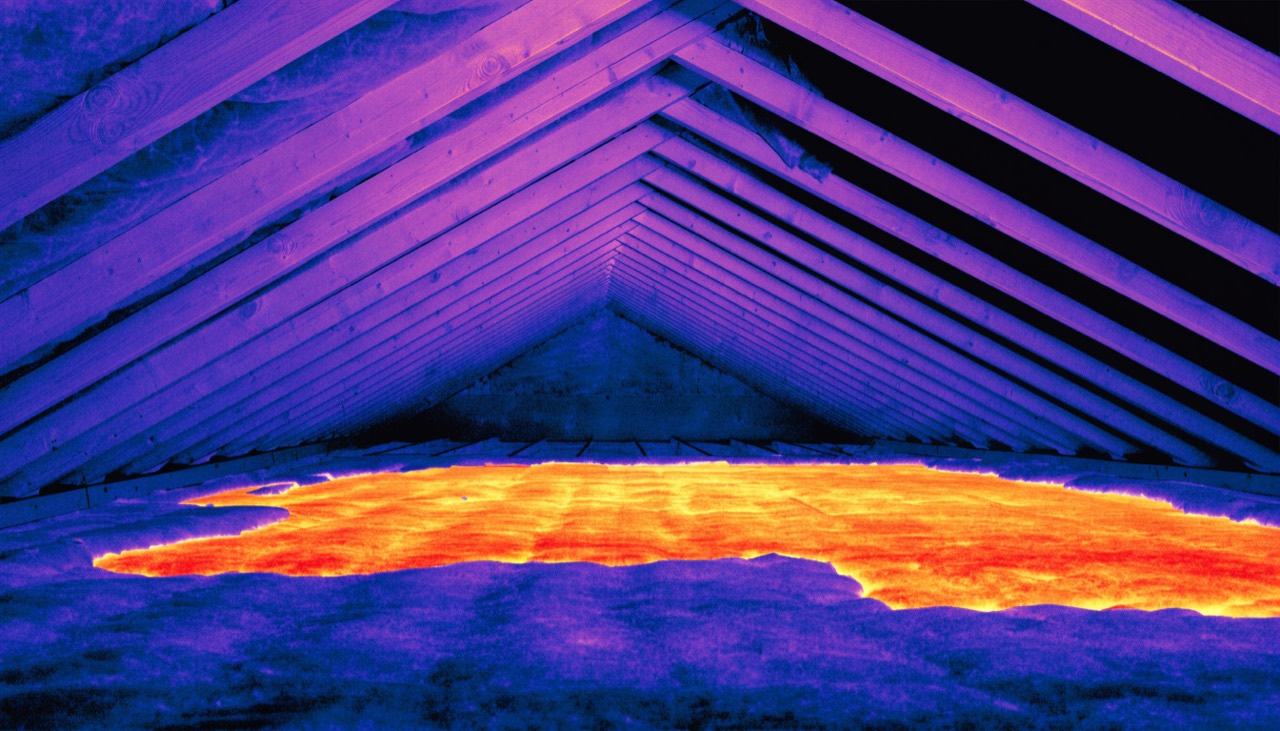 Missing attic insulation shown as a false-colour infrared thermal image